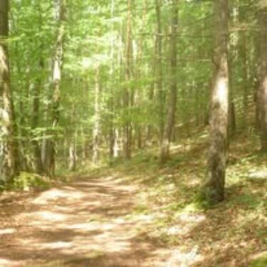 Foto - Grundst&uuml;ck zum Kaufen in Pommelsbrunn