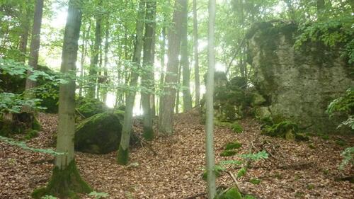 Foto - Grundst&uuml;ck in Pommelsbrunn zum Kaufen