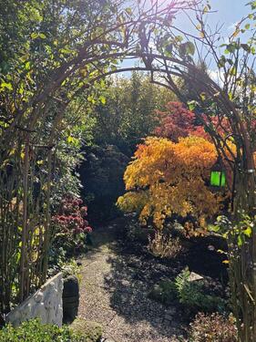 Foto - 5 Zimmer Bungalow zum Kaufen in Bielefeld