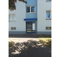 Neu sanierte 2-Raumwohnung in ruhiger Lage! - Hainichen
