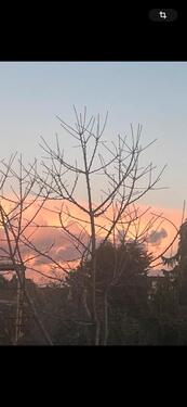 Foto - 5 Zimmer Einfamilienhaus zum Kaufen in Wunstorf