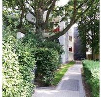 Schöne Wohnung: 1-Zimmer-Appartment - Hamburg Altona