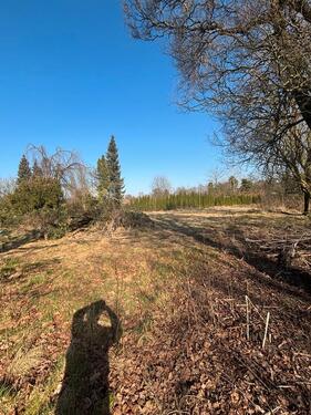 Foto - Grundstück in Pinneberg zur Miete