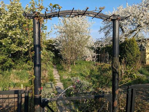 Foto - Grundst&uuml;ck zur Miete in Greifswald