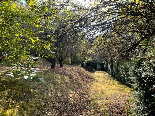 Foto - Einfamilienhaus zum Kaufen in Bayreuth