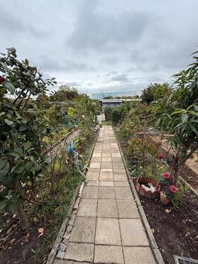 Foto - Grundst&uuml;ck zur Miete in Gägelow