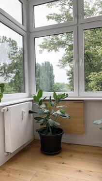 Foto - Etagenwohnung zur Miete in Berlin