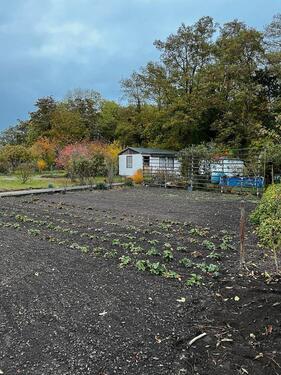 Foto - Pachtgarten in Calbe OT Gottesgnaden abzugeben