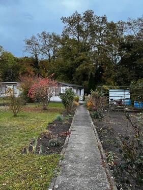 Foto - Grundst&uuml;ck zur Miete in Calbe (Saale)
