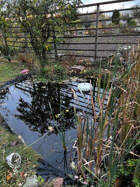 Foto - Grundst&uuml;ck in Calbe (Saale) zur Miete