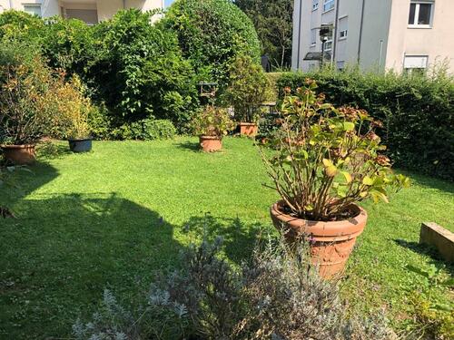 Foto - 3 Zimmer Erdgeschoßwohnung in Bonn