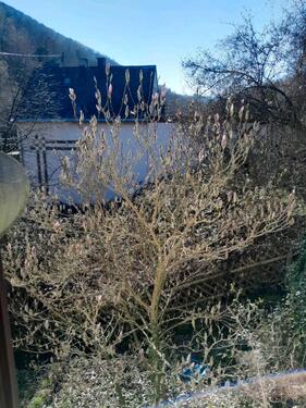 Foto - Renovierte 2-Zimmer im Grünen - 400,00&nbsp;EUR Kaltmiete, ca.&nbsp; 45,00&nbsp;m&sup2;