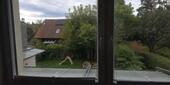 Foto - Etagenwohnung in München zum Kaufen