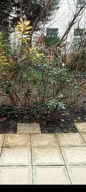 Foto - Schöne ruhig u. zentrale 3,5 Zimmerwhg. mit Garten U.Terrasse