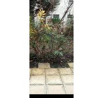 Schöne ruhig u. zentrale 3,5 Zimmerwhg. mit Garten U.Terrasse - Berlin Tempelhof-Schöneberg