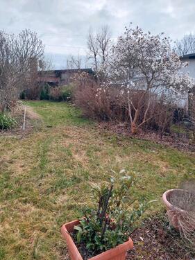 Foto - Grundst&uuml;ck in Cottbus