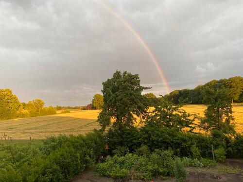Foto - Etagenwohnung zur Miete in Beelen