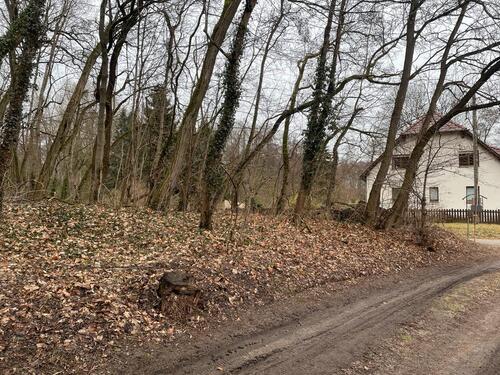 Foto - Grundst&uuml;ck zur Miete in Märkische Heide