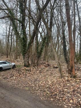 Foto - Grundst&uuml;ck in Märkische Heide