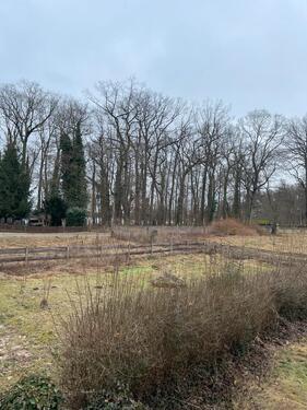 Foto - Grundst&uuml;ck in Märkische Heide zur Miete