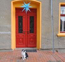 4 Zimmer Wohnung mit Terrasse - 580,00&nbsp;EUR Kaltmiete, ca.&nbsp; 109,00&nbsp;m&sup2; in Seifhennersdorf (PLZ: 02782)