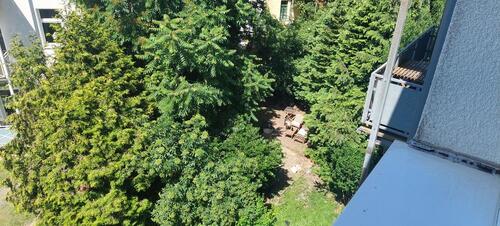 Foto - Etagenwohnung in Magdeburg zur Miete