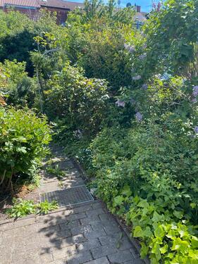 Foto - 1 Zimmer Erdgeschoßwohnung in Ludwigshafen am Rhein