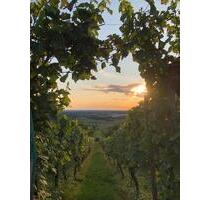 Gemütliche Hütte im Weinberg in Hörstein - Alzenau