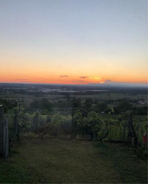 Foto - Grundstück in Alzenau zur Miete