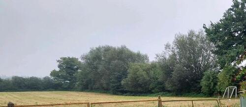 Foto - Winterstellplatz Wohnwagen - 40,00&nbsp;EUR Miete,