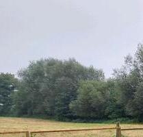 Winterstellplatz Wohnwagen - 40,00&nbsp;EUR Miete, in Holtsee (PLZ: 24363)