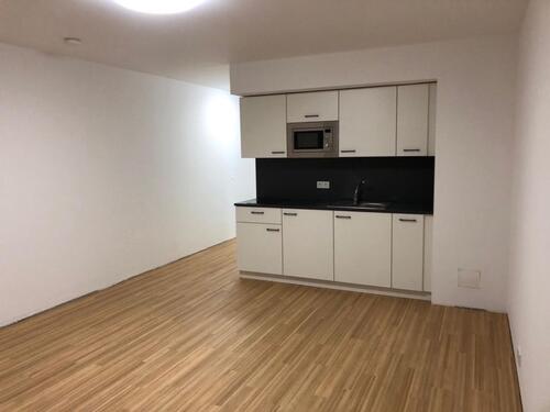 Foto - Modernes 1-Zimmer-Apartment nahe Uni & Uniklinik zu vermieten