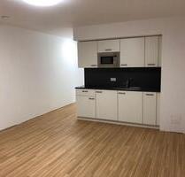 Modernes 1-Zimmer-Apartment nahe Uni & Uniklinik zu vermieten - Würzburg Lengfeld