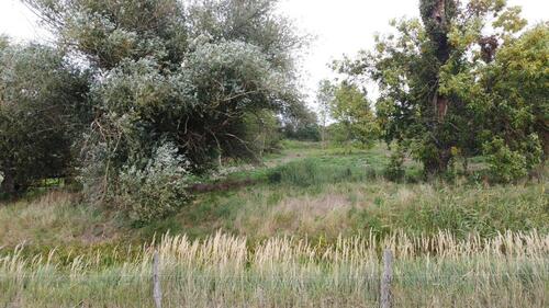 Foto - Grundstück zum Kaufen in Biederitz