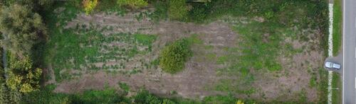 Foto - Grundstück in Biederitz