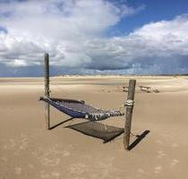Ferienwohnung auf Amrum, Hunde herzlich willkommen ! - Flensburg