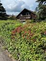 Foto - 6 Zimmer Einfamilienhaus zum Kaufen in Walkenried