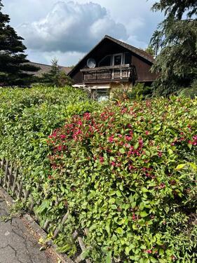 Foto - 6 Zimmer Einfamilienhaus zum Kaufen in Walkenried