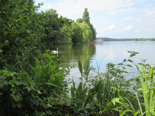 Foto - andere in Teupitz