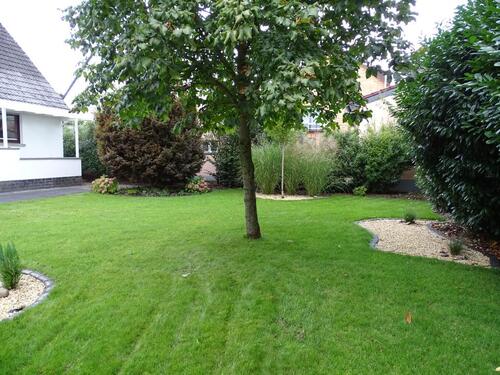 Foto - Einfamilienhaus in Seligenstadt zum Kaufen