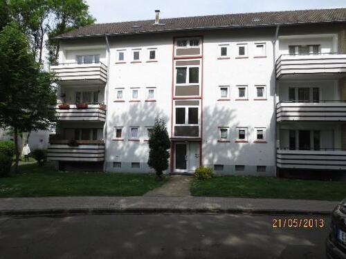 Foto - Hier bin ich, firsch tapeziert und gestrichen - einziehen und wohlfühlen!!