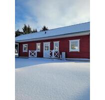 Modernes Holzhaus in Dodenau: 80 m², offene Wohnküche, Carport - Battenberg (Eder)