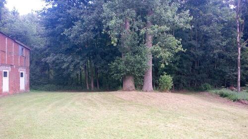 Foto - Einfamilienhaus in Wittingen zum Kaufen
