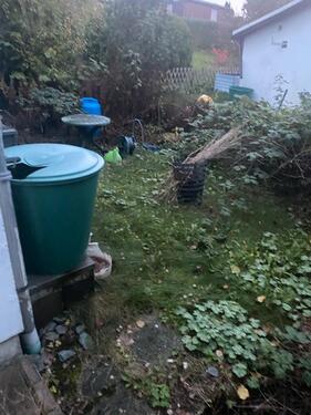 Foto - Grundstück in Thalheim/Erzgebirge