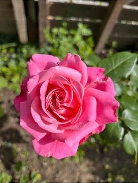 Foto - Grundstück in Aachen zur Miete