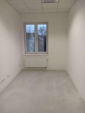 Foto - andere in Dresden