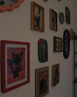 Foto - 