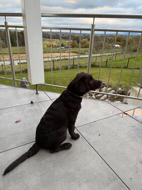 Foto - andere in Wessobrunn zur Miete