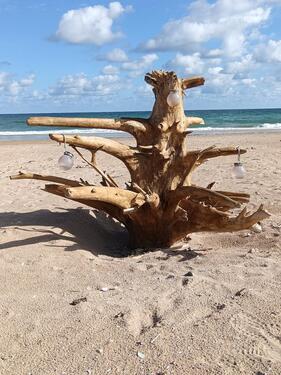 Foto - Baugrundstück mit großem Potenzial – nur 12 km vom breiten Sand