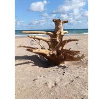 Baugrundstück mit großem Potenzial – nur 12 km vom breiten Sand - Dietzhölztal